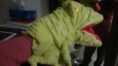 /album/creation-douou/imag1756-copie-jpg/